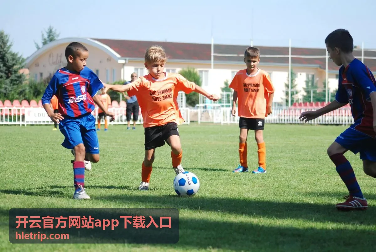 开云官方网站app下载及安全设置展示